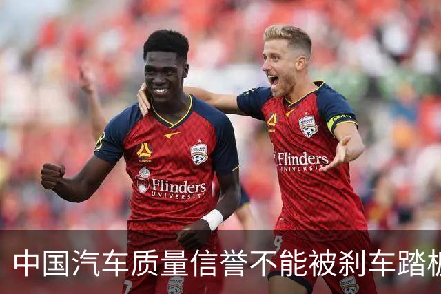 中国汽车质量信誉不能被刹车踏板踩断