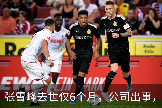 张雪峰去世仅6个月，公司出事，武亮“转移财产”只是冰山一角