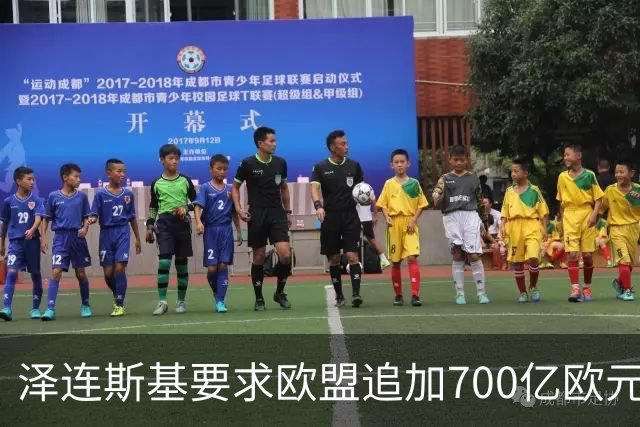 泽连斯基要求欧盟追加700亿欧元援助